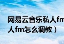 網易云音樂私人fm怎么使用（網易云音樂私人fm怎么調教）