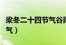 梁冬二十四節(jié)氣谷雨篇(谷雨是什么季節(jié)的節(jié)氣)