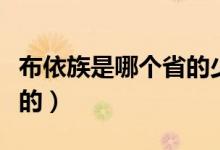 布依族是哪個(gè)省的少數(shù)民族(布依族是哪個(gè)省的)