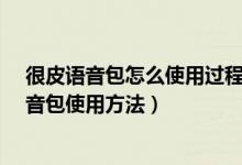 很皮語(yǔ)音包怎么使用過程視頻（很皮語(yǔ)音包怎么用-很皮語(yǔ)音包使用方法）