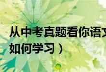 從中考真題看你語(yǔ)文的學(xué)習(xí)問(wèn)題(中考語(yǔ)文該如何學(xué)習(xí))