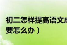 初二怎樣提高語(yǔ)文成績(jī)（初二想提高語(yǔ)文成績(jī)要怎么辦）
