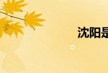 沈陽(yáng)是幾線(xiàn)城市