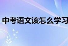 中考語文該怎么學習（中考語文該怎么學習）