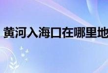 黃河入?？谠谀睦锏貓D（黃河入?？谠谀睦铮?class=