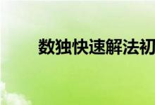 數(shù)獨快速解法初級(數(shù)獨快速解法)
