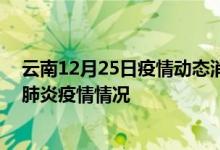 云南12月25日疫情動(dòng)態(tài)消息:云南昨日24號(hào)新型冠狀病毒肺炎疫情情況