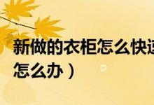 新做的衣柜怎么快速去掉異味（新衣柜有異味怎么辦）