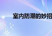 室內(nèi)防潮的妙招(室內(nèi)防潮的妙招)