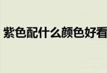 紫色配什么顏色好看（哪兩個顏色調成紫色）