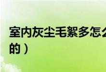 室內(nèi)灰塵毛絮多怎么辦(室內(nèi)灰塵是怎么產(chǎn)生的)