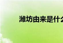 濰坊由來(lái)是什么意思（濰坊由來(lái)）