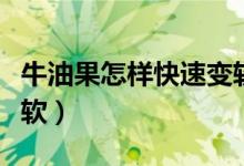 牛油果怎樣快速變軟（硬的牛油果怎么快速變軟）