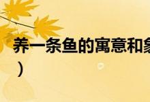 養(yǎng)一條魚(yú)的寓意和象征（一條魚(yú)的寓意和象征）