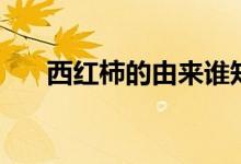 西紅柿的由來(lái)誰(shuí)知道（西紅柿的由來(lái)）
