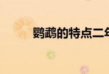 鸚鵡的特點(diǎn)二年級(jí)(鸚鵡的特點(diǎn))