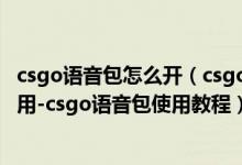 csgo語(yǔ)音包怎么開（csgo語(yǔ)音包怎么使用-csgo語(yǔ)音包怎么用-csgo語(yǔ)音包使用教程）