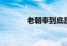 老朝奉到底是誰(shuí)(老朝奉是誰(shuí))