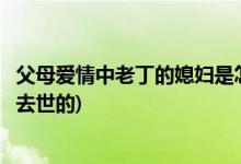 父母愛(ài)情中老丁的媳婦是怎么死的(父母愛(ài)情中老丁媳婦怎么去世的)