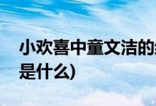 小歡喜中童文潔的結局(小歡喜中童文潔結局是什么)