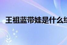 王祖藍帶娃是什么綜藝(王祖藍帶娃的綜藝)