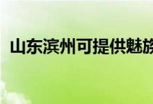 山東濱州可提供魅族手機(jī)維修服務(wù)地址在哪