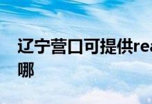 遼寧營口可提供realme手機(jī)維修服務(wù)地址在哪