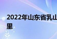 2022年山東省乳山市機關(guān)幼兒園的地址在哪里