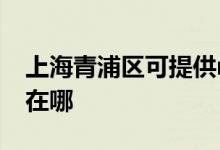 上海青浦區(qū)可提供realme手機維修服務(wù)地址在哪