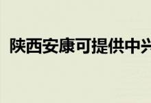 陜西安康可提供中興手機(jī)維修服務(wù)地址在哪