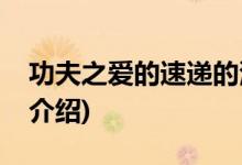 功夫之愛(ài)的速遞的演員(功夫之愛(ài)的速遞劇情介紹)