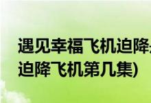 遇見(jiàn)幸福飛機(jī)迫降是哪一集(遇見(jiàn)幸福司問(wèn)渠迫降飛機(jī)第幾集)