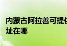 內蒙古阿拉善可提供統(tǒng)帥平板電視維修服務地址在哪