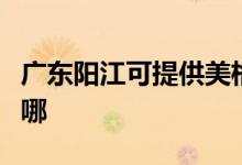 廣東陽江可提供美格平板電視維修服務地址在哪