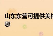山東東營可提供美格平板電視維修服務(wù)地址在哪
