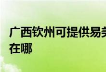 廣西欽州可提供易美遜平板電視維修服務(wù)地址在哪