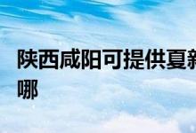 陜西咸陽(yáng)可提供夏新平板電視維修服務(wù)地址在哪