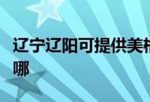 遼寧遼陽可提供美格平板電視維修服務(wù)地址在哪