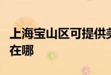 上海寶山區(qū)可提供美格平板電視維修服務地址在哪