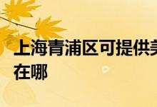 上海青浦區(qū)可提供美格平板電視維修服務地址在哪