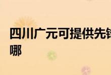 四川廣元可提供先鋒平板電視維修服務地址在哪