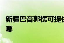 新疆巴音郭楞可提供格力空調(diào)維修服務地址在哪