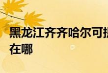 黑龍江齊齊哈爾可提供海爾空調(diào)維修服務(wù)地址在哪