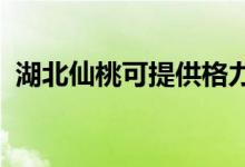 湖北仙桃可提供格力空調維修服務地址在哪