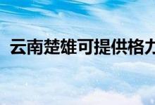 云南楚雄可提供格力空調(diào)維修服務地址在哪
