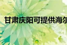 甘肅慶陽(yáng)可提供海爾空調(diào)維修服務(wù)地址在哪