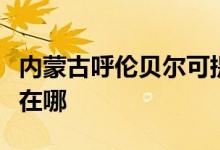 內(nèi)蒙古呼倫貝爾可提供大金空調(diào)維修服務地址在哪