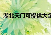 湖北天門可提供大金空調維修服務地址在哪