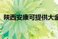陜西安康可提供大金空調維修服務地址在哪
