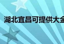湖北宜昌可提供大金空調維修服務地址在哪